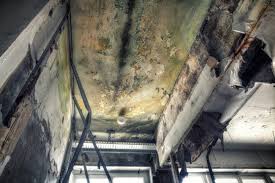 Best Mold Remediation for Healthcare Facilities  in Brownlee Park, MI